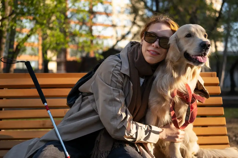 grants for service dogs sitting on a table