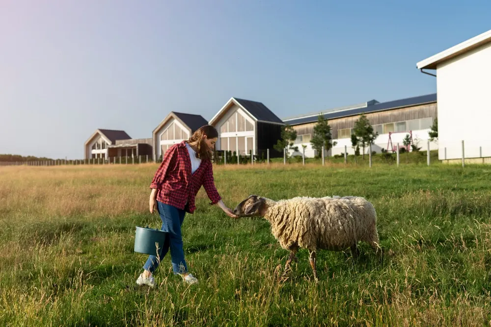 State Farm Good Neighbor Citizenship Grants